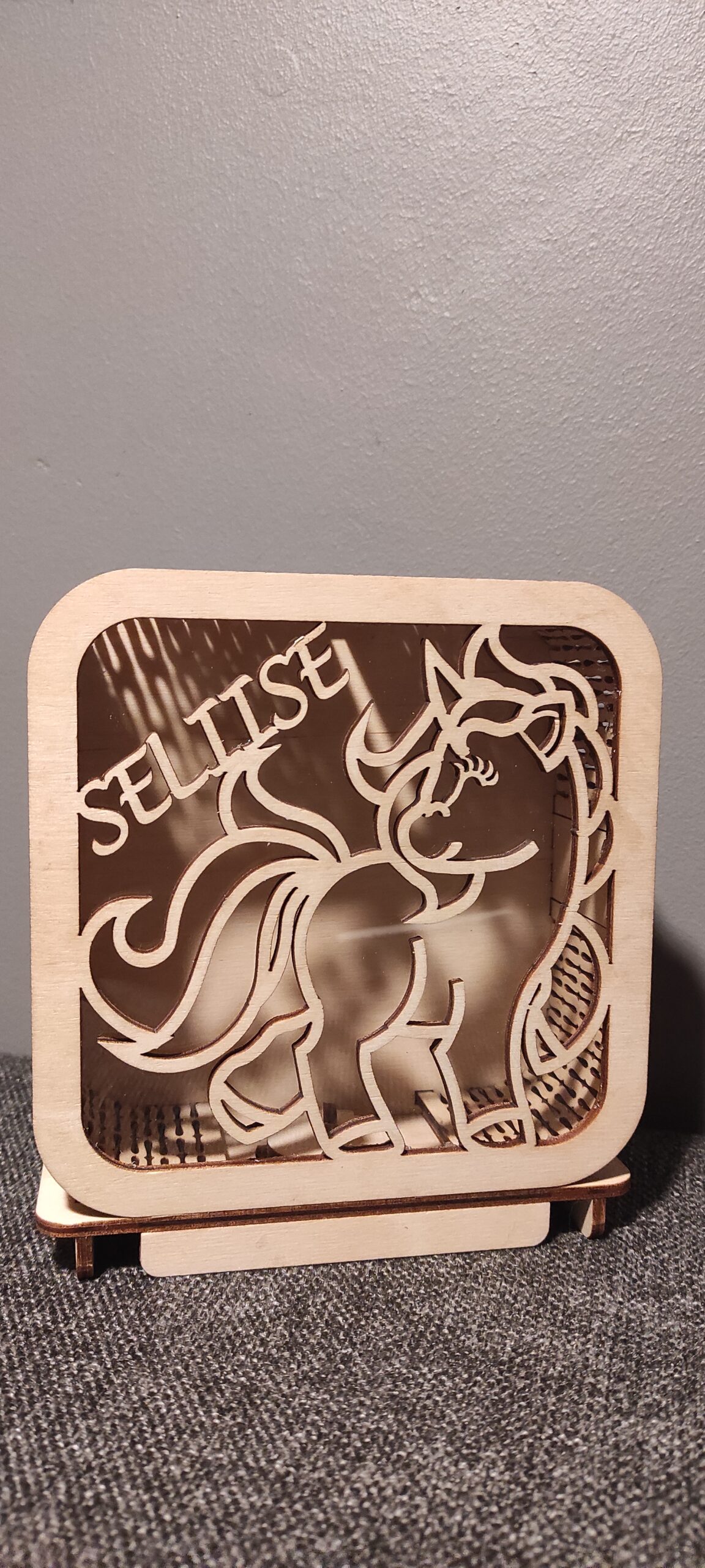Rahakassa Pony - Image 4